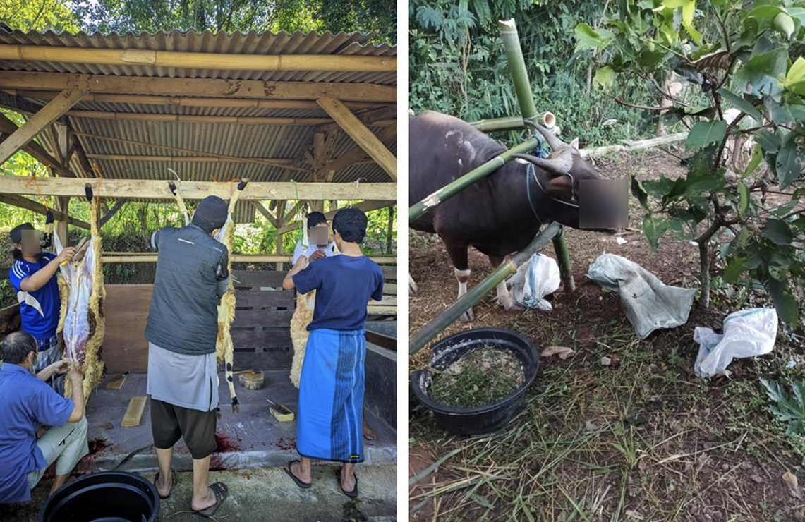 Screenshot 2026-02-17 135628